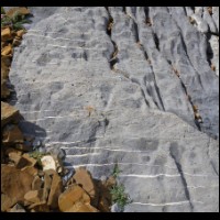 104-Beau-calcaire-gris-tigre.jpg